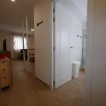 Petite Maison, Apartment San Cristóbal de La Laguna